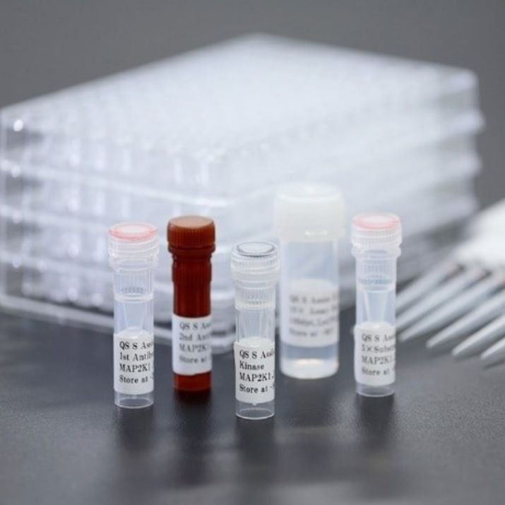 Biochemical Assay Kits